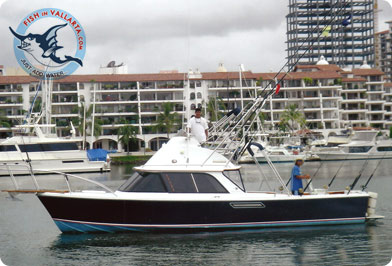 Deluxe - 32' Bertram