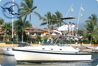 Economy - 36' Alure