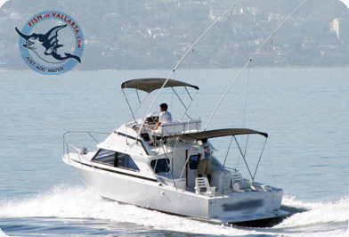 Economy | 32' Bertram